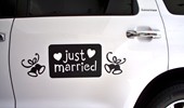 magnet-header