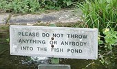 funny-sign-17